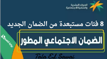 8 فئات مستبعدة من الضمان الجديد