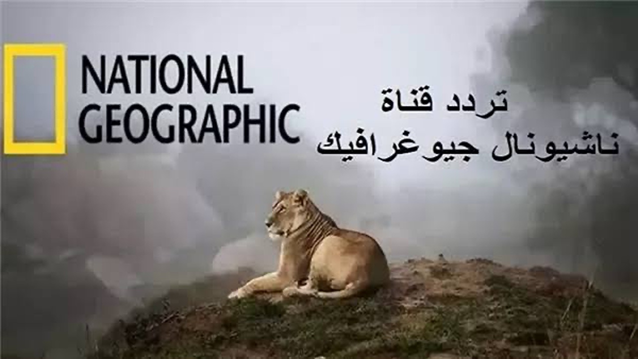 استمتع بأجمل البرامج الوثائقية.. تردد قناة ناشيونال جيوغرافيك الجديد على القمر الصناعي نايل سات.. نزلها الآن
