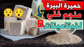 IMG ٢٠٢٤٠٩٠٥ ٠١٢٩٣٨ 1