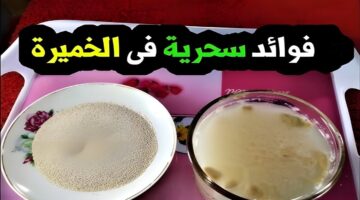 IMG ٢٠٢٤٠٩٠٥ ٠٤١٢٤٦ 1 1