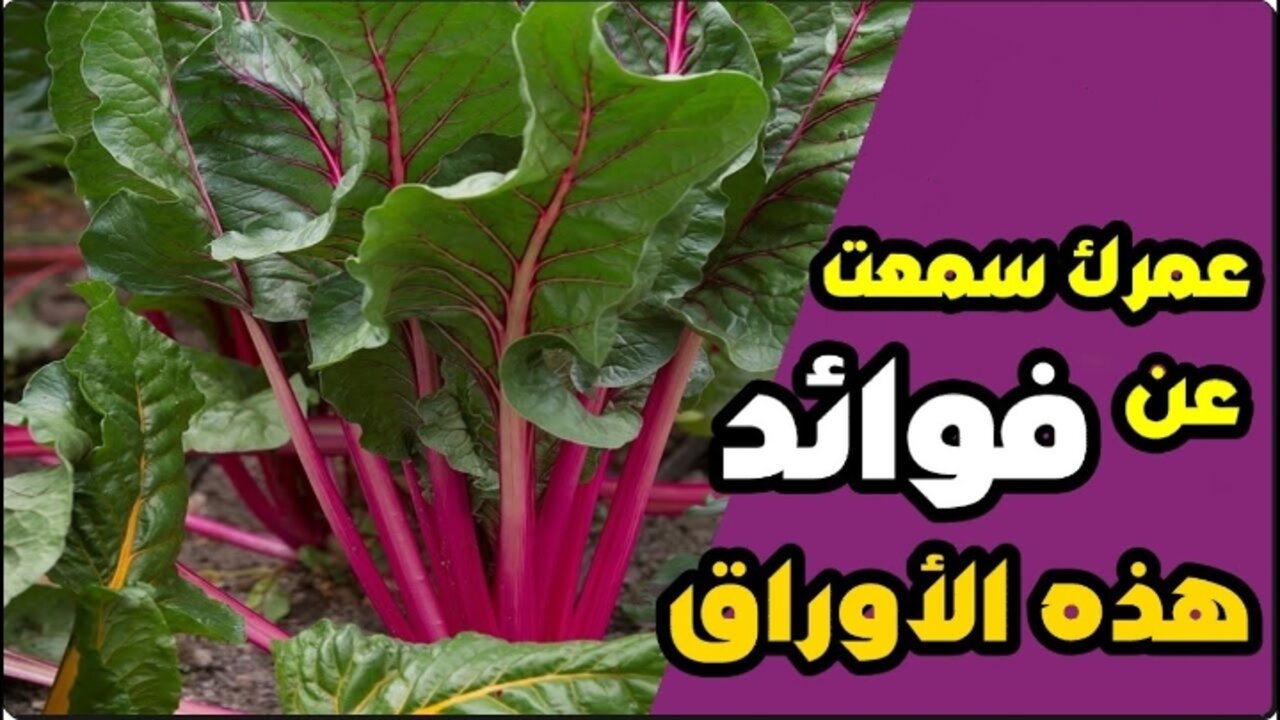 هذا ما لم يخبرك به احد من قبل.. عشبة طبيعية ستضيف لك قيمة كبيرة إذا أحسنت استخدامها