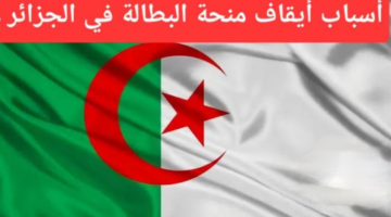 IMG ٢٠٢٤٠٩٠٦ ١٠٣٤٥١