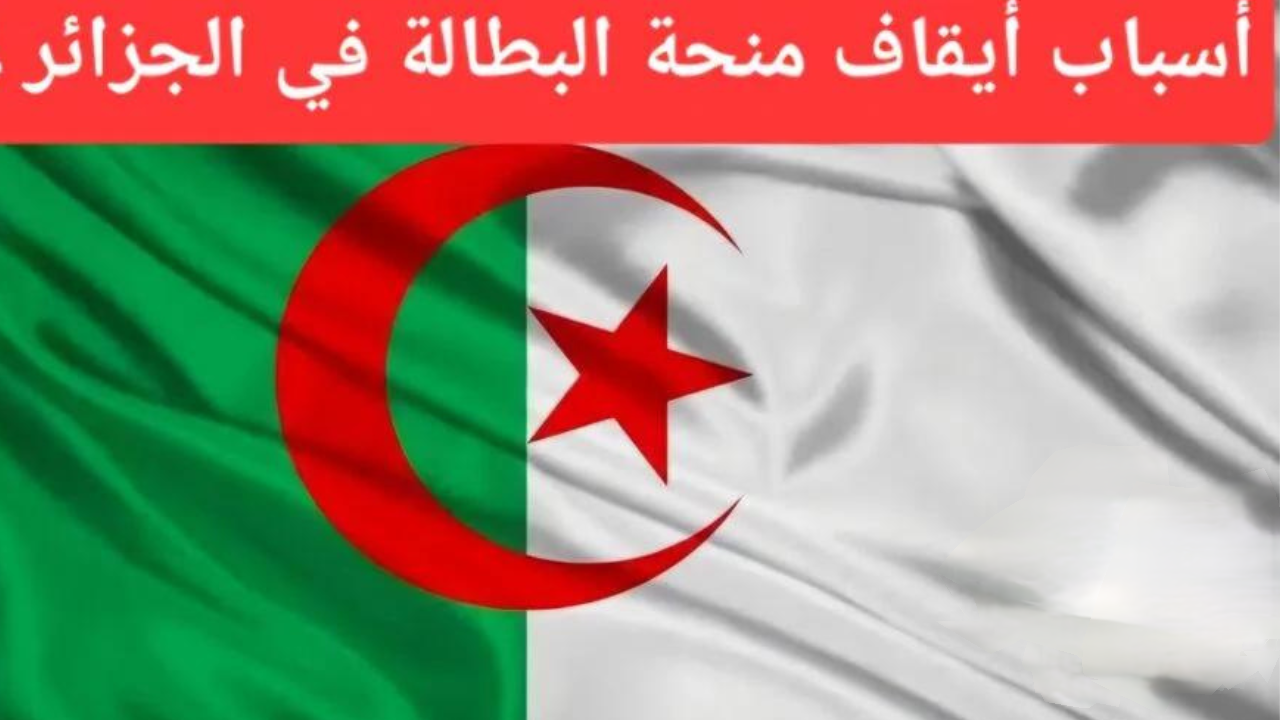 أسباب توقف منحة البطالة في الجزائر 2024 وماهي شروط التسجيل في المنحة