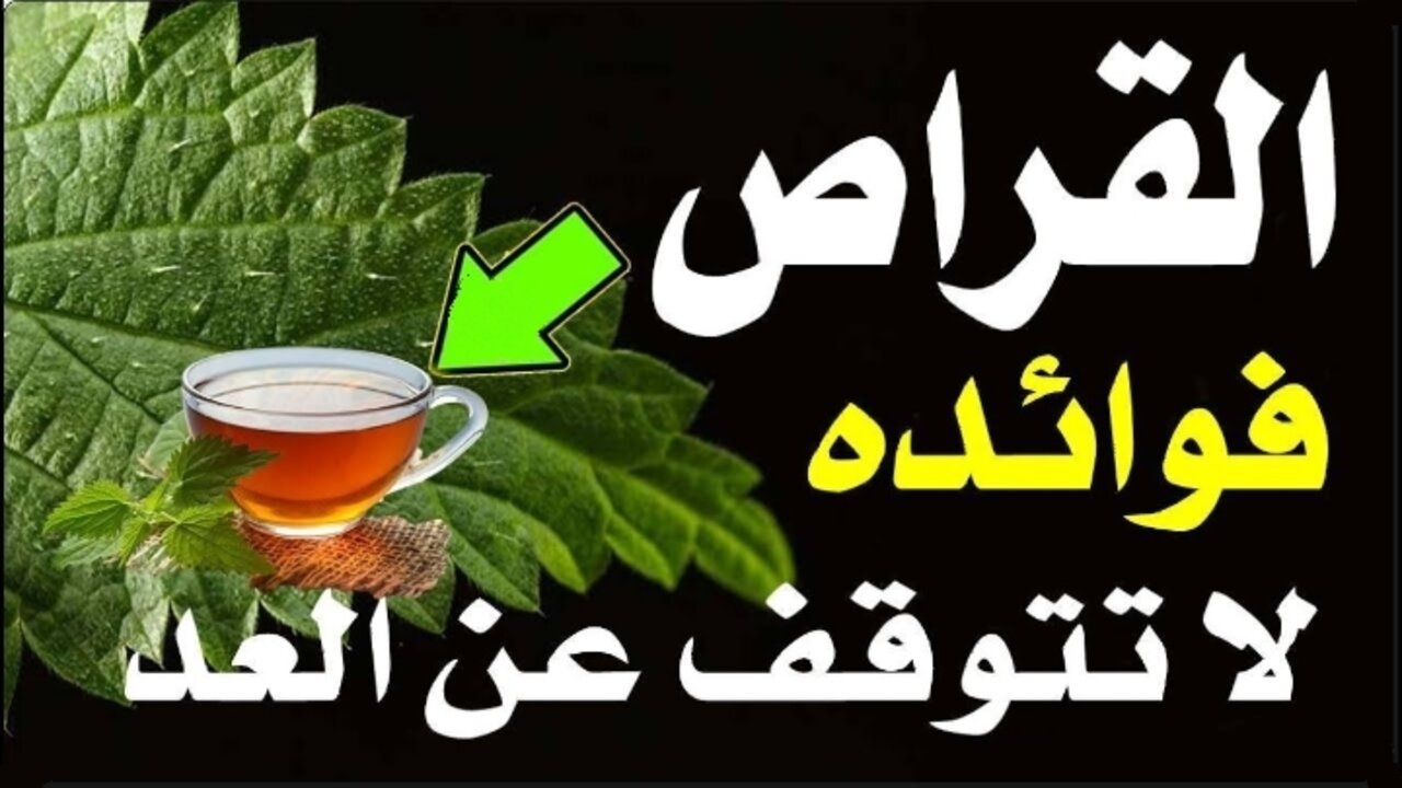 عشبة هتقرصك بس هتنفعك.. عدد لا يحصى من الفوائد في هذه النبتة التي يخشاها الجميع