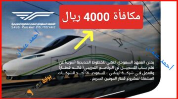 IMG ٢٠٢٤٠٩١٢ ٢٠٥١٢٨