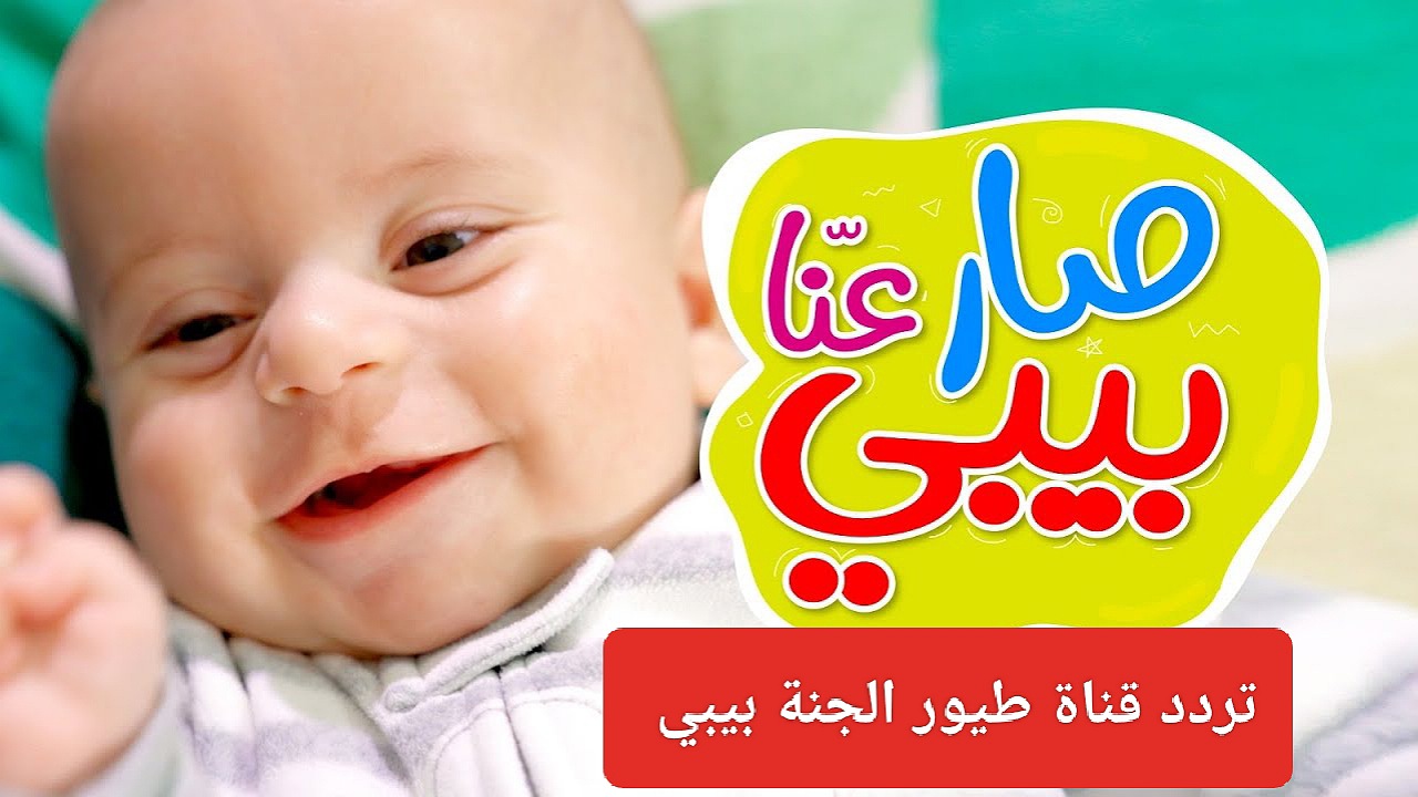 صار عنا بيبي جديد..ضبط الآن تردد قناة طيور الجنة بيبي على نايل سات وعرب سات 2024