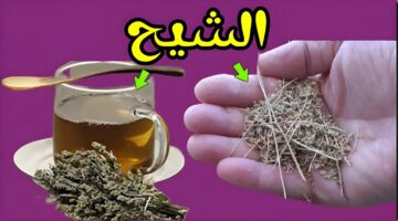 IMG ٢٠٢٤٠٩١٤ ٢١٢٧٢٩ 1 1