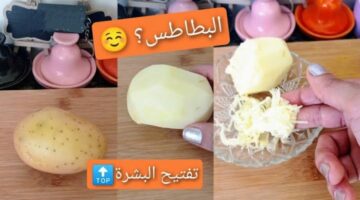 IMG ٢٠٢٤٠٩١٥ ١٩٠٢٣٠ 2