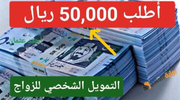 IMG ٢٠٢٤٠٩٢٨ ٢٢٠٣٤٢