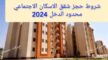 InCollage ٢٠٢٤٠٩١٦ ٢٢٠٨٠١١٩٦
