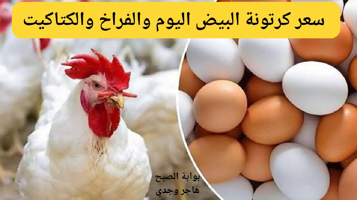 استقرار في الأسعار.. سعر كرتونة البيض اليوم الاربعاء 4/9/2024 أسعار الفراخ والكتاكيت 2 استقرار في الأسعار.. سعر كرتونة البيض اليوم الاربعاء 4/9/2024 أسعار الفراخ والكتاكيت