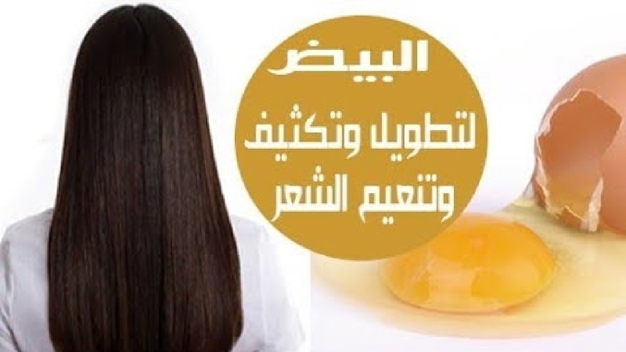 عالجي شعرك نهائياً بإستخدام أفضل ماسكات البيض للشعر وأنسي الهيشان والتساقط واستمتعي بنعومة ولمعان