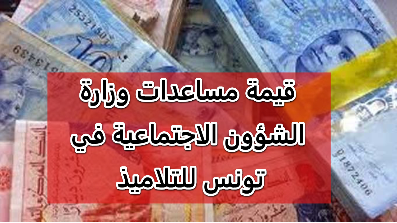 وزارة الشؤون الاجتماعية في تونس.. 100 دينار لكل تلميذ مع بداية عام دراسي جديد