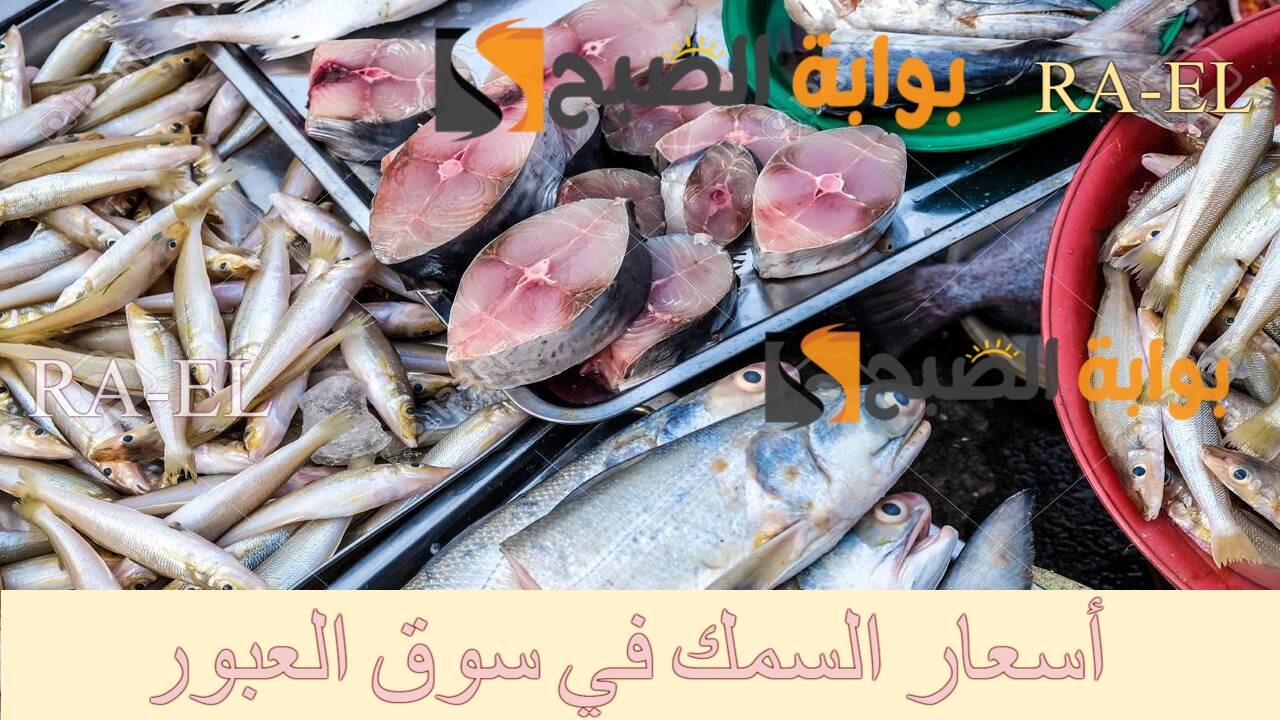 زيادة جديدة في أسعار السمك بسوق العبور اليوم الإثنين 23/9/2024 للجملة في القاهرة