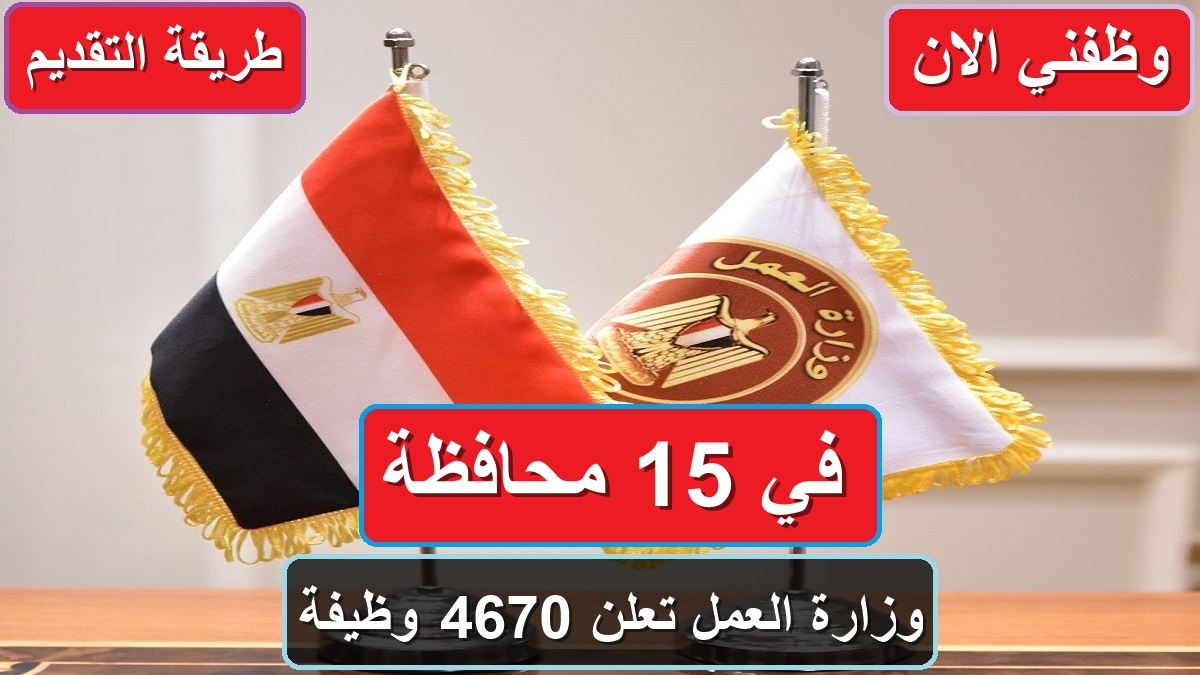 وظائف وزارة العمل.. 7745 فرصة عمل جديدة في 15 محافظة برواتب مجزية.. كيفية التقديم