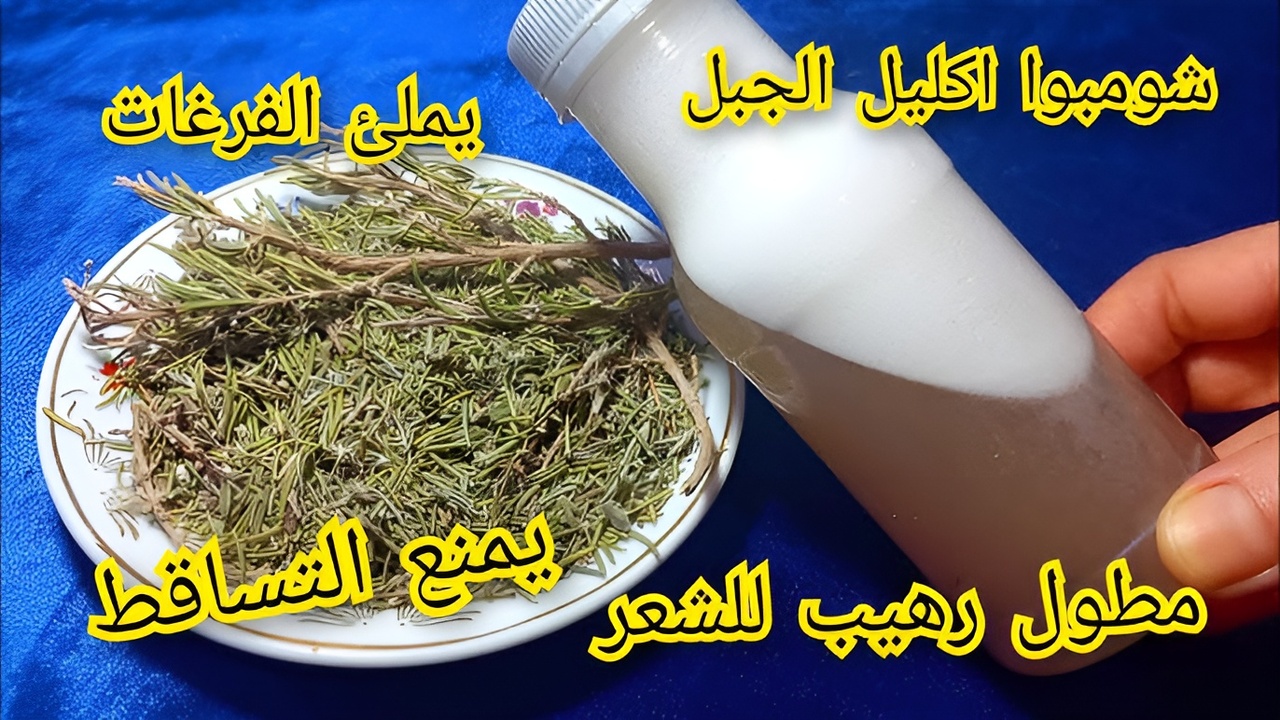 شعرك هيبقى حكاية ورواية.. مفاجأة في هذه العشبة هتخلي الشعر تقيل وكثيف زي الغابة