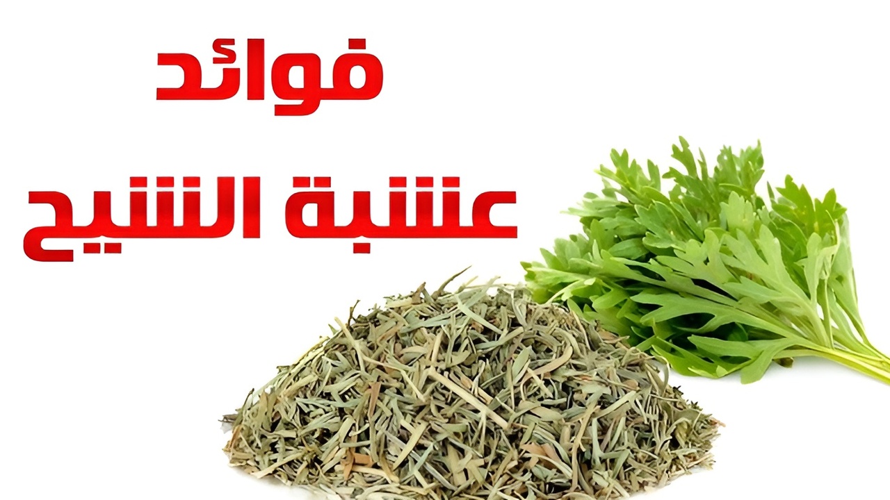 عشبة هتستجدع معاك اكتر من صاحبك.. نبتة تساوي تقلها دهب بسبب فوائدها اللي مش هتتوقعها