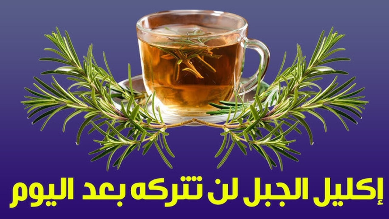 عشبة لا تعرف المستحيل.. نبات طبيعي هيحققلك اماني مكنتش متخيل أنها ممكن تحصل