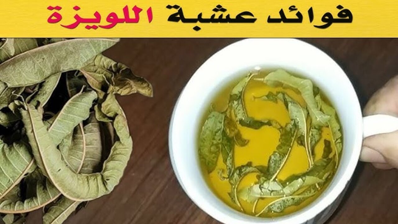 اختلفوا على اسمها لكن اتفقوا على أهميتها.. نبات لا يعرفه الكثيرون على الرغم من قيمته المدهشة