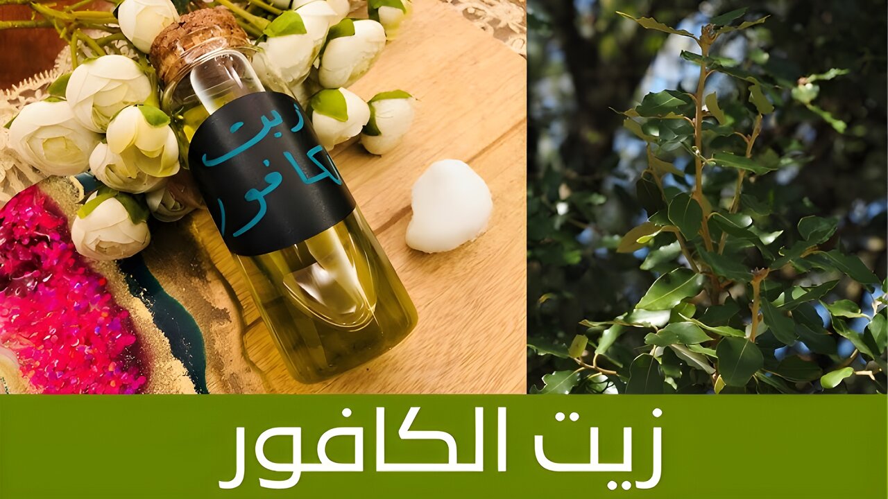 حتى لو كنتي عجوزة وماشية على عكاز.. زيت طبيعي له مفعول عجيب في إعادة ترميم البشرة