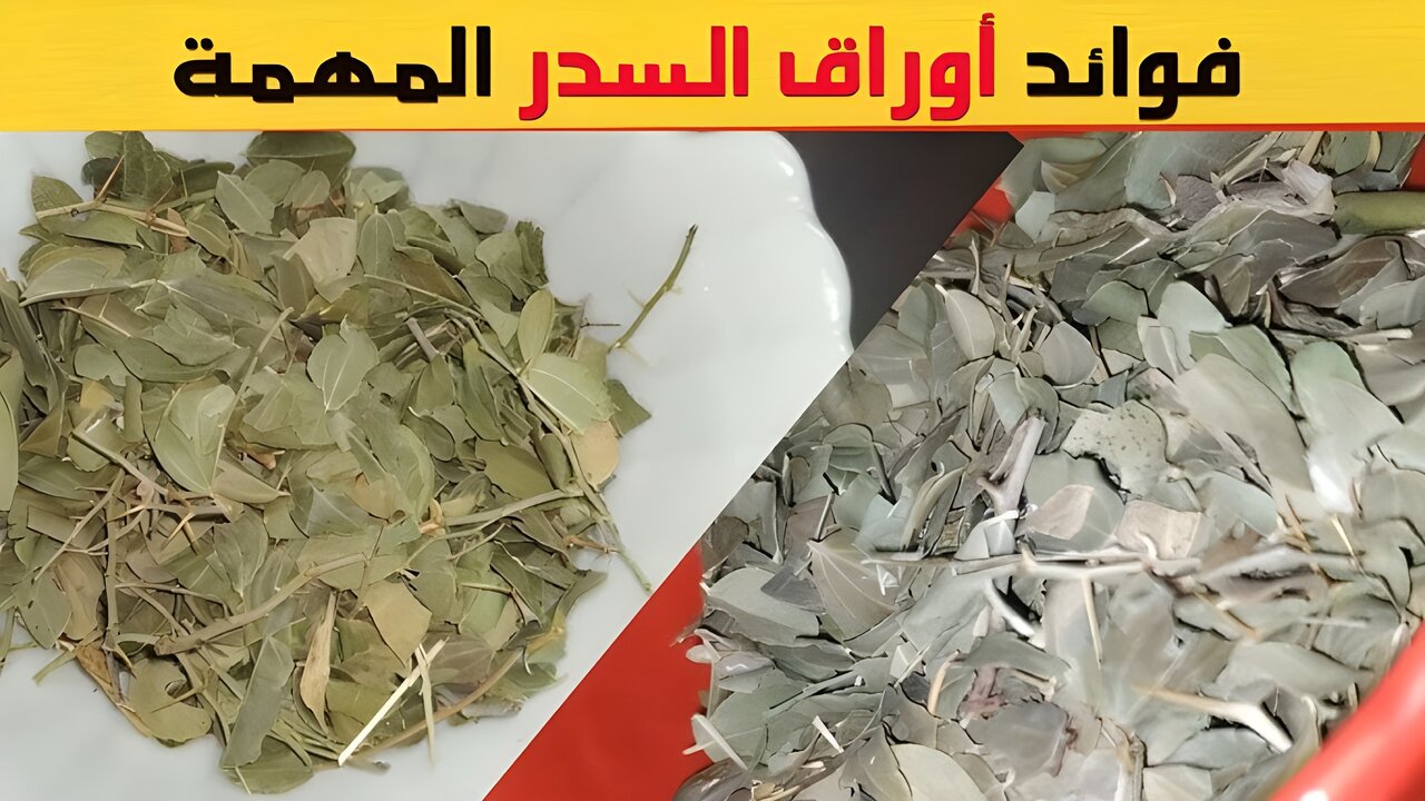 كنز ثمين يغفل عنه الجميع.. عشبة من قديم الزمان لا يعرفها الكثيرون أهميتها لا تصدق