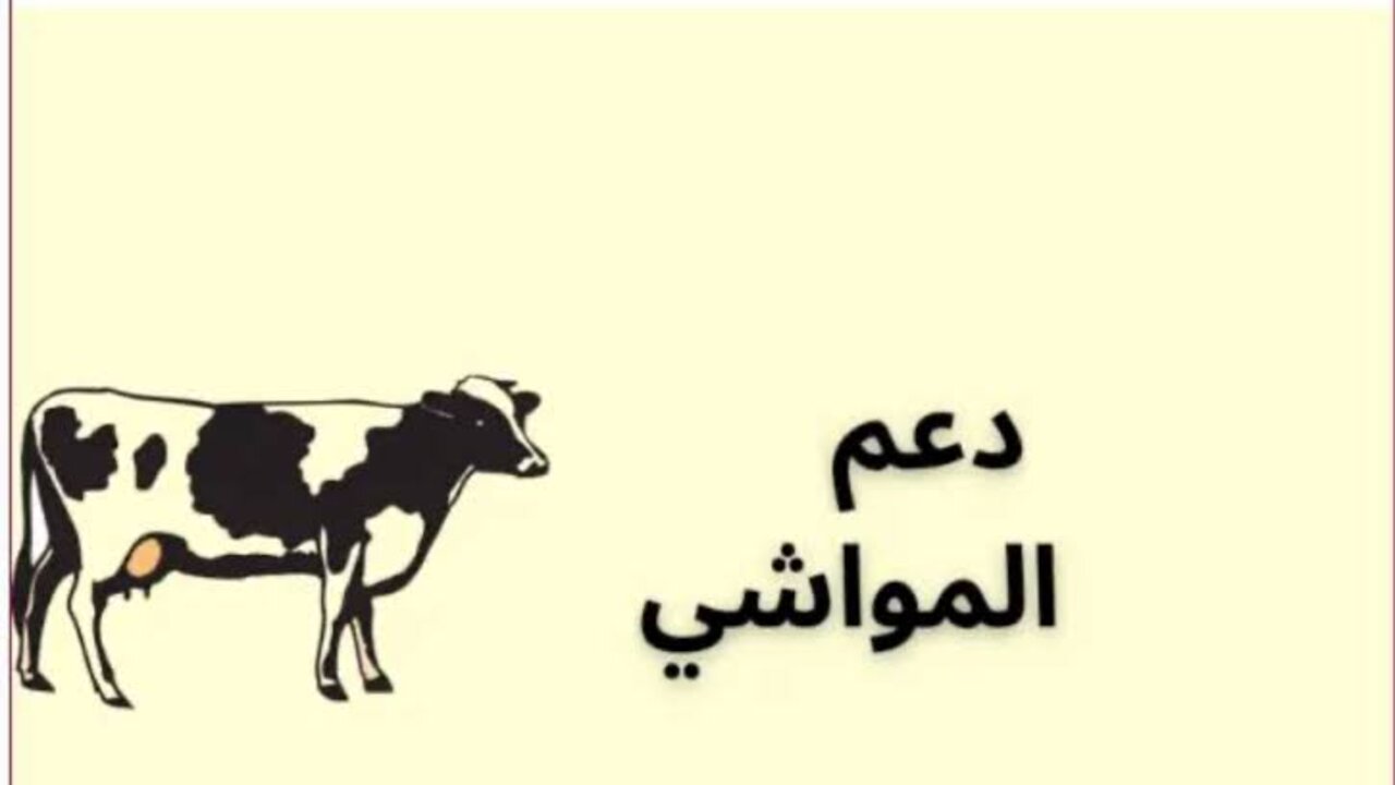 وزارة البيئة والمياه والزراعة توضح شروط دعم المواشي لعام 1446 وكيفية التسجيل للحصول عليه