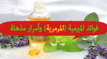 images 2024 09 11T195109.162 1
