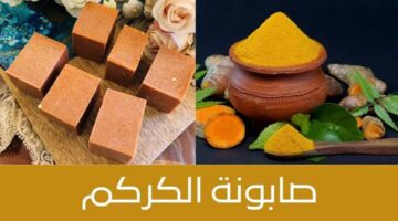 images 2024 09 12T120829.342