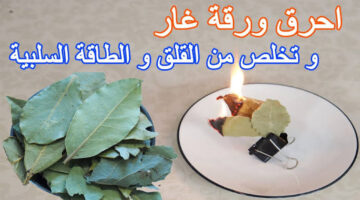 images 2024 09 13T154314.409