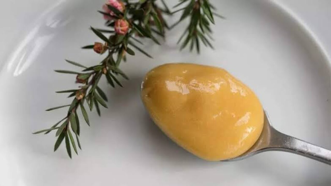 هيحل مشاكل شعرك من جدورها.. خلطة طبيعية لعلاج تساقط الشعر بكفاءة عالية