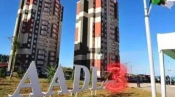 images 41