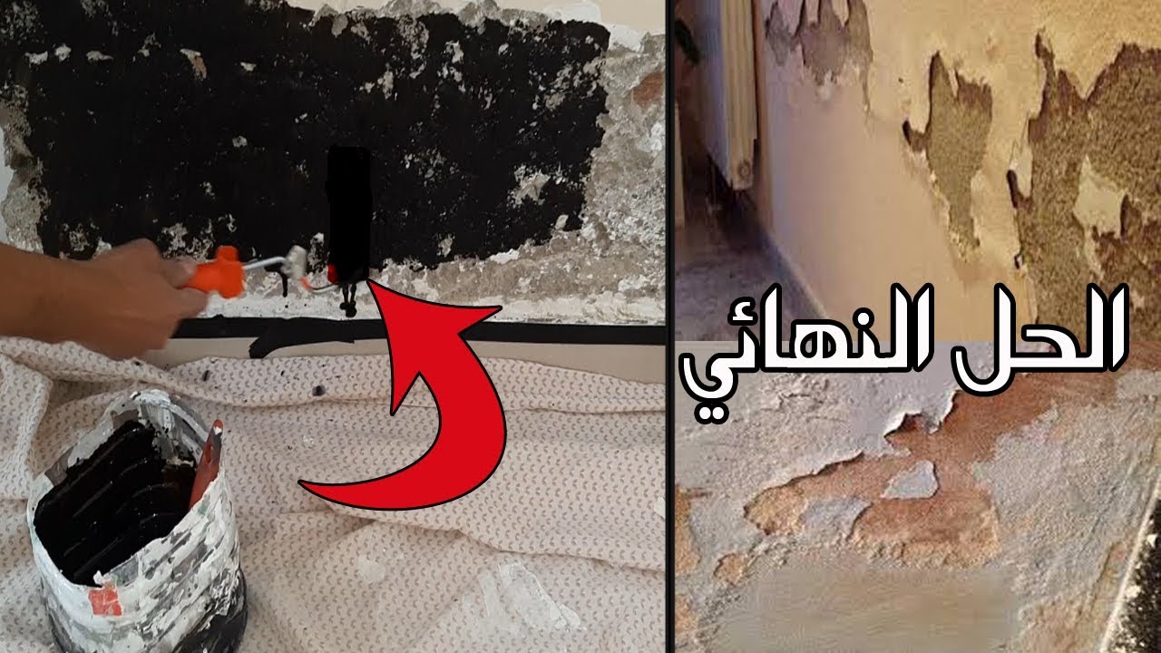 الحل النهائي للتخلص من رطوبة وعفن الحوائط بدون تكاليف ولا مجهود بمكون ميخطرش على بالك هترجع كأنها جديدة 5 الحل النهائي للتخلص من رطوبة وعفن الحوائط بدون تكاليف ولا مجهود بمكون ميخطرش على بالك هترجع كأنها جديدة