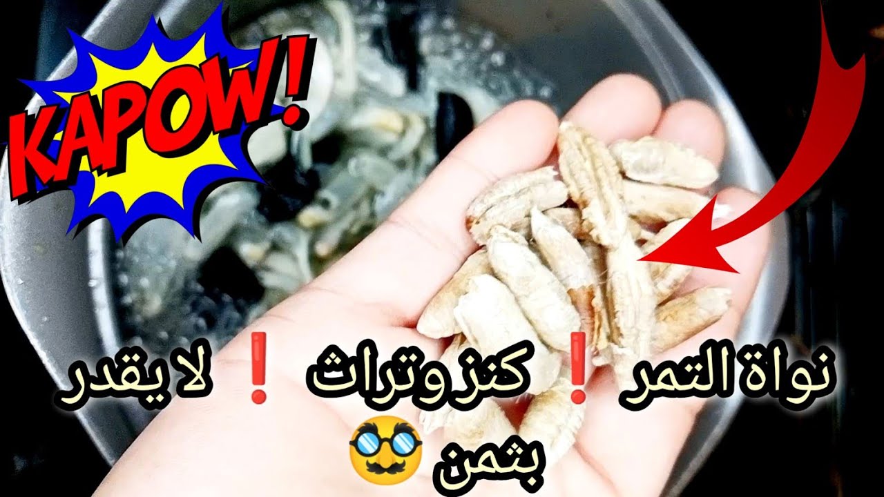 «ضاع عمرنا واحنا بنرميه» نواه التمر (البلح) اوعي ترميه من انهارده شوفي هتعملي بيه ايه
