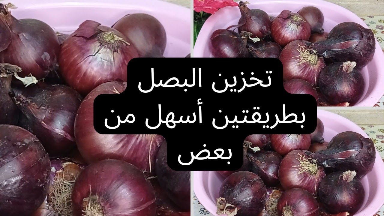 تخزين البصل من السنة للسنة والاحتفاظ بنفس الجودة بالطريقة الصحيحة بدون ما يتلف