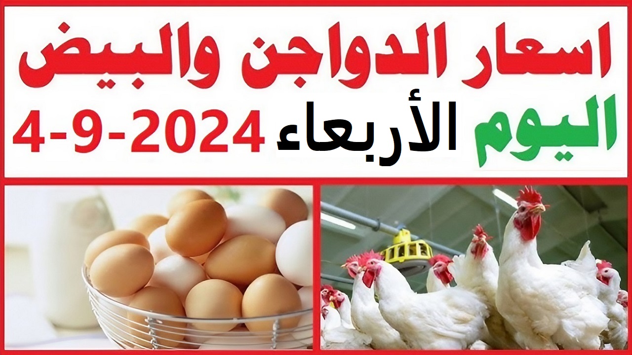 آخر تحديث لأسعار الفراخ والبيض في السوق المصري اليوم الأربعاء 4 سبتمبر 2024 2 آخر تحديث لأسعار الفراخ والبيض في السوق المصري اليوم الأربعاء 4 سبتمبر 2024