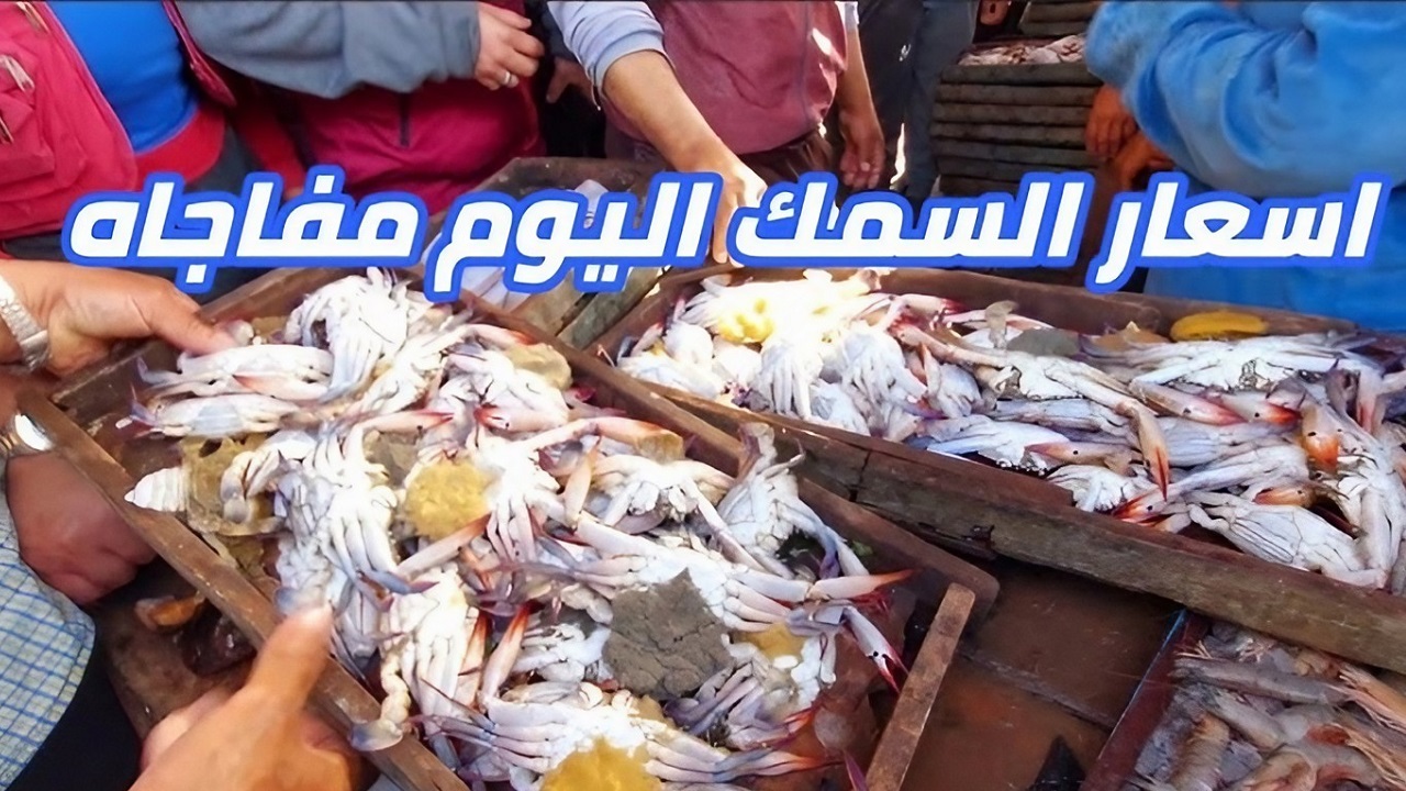 أسعار الجمبري والسمك بجميع أنواعه اليوم الخميس 5 سبتمبر 2024