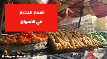 أسعار الخضار اااليوم