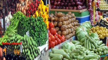 أسعار الخضروات اليوم
