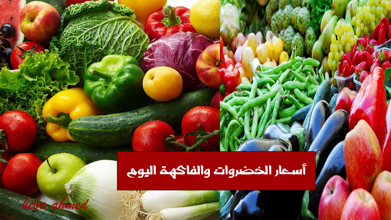 الطماطم من 9 والجوافة من 8 جنيه… أسعار الخضروات والفاكهة اليوم الأربعاء 4 سبتمبر في سوق العبور