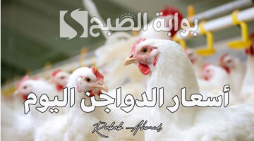 أسعار الدواجن اليوم