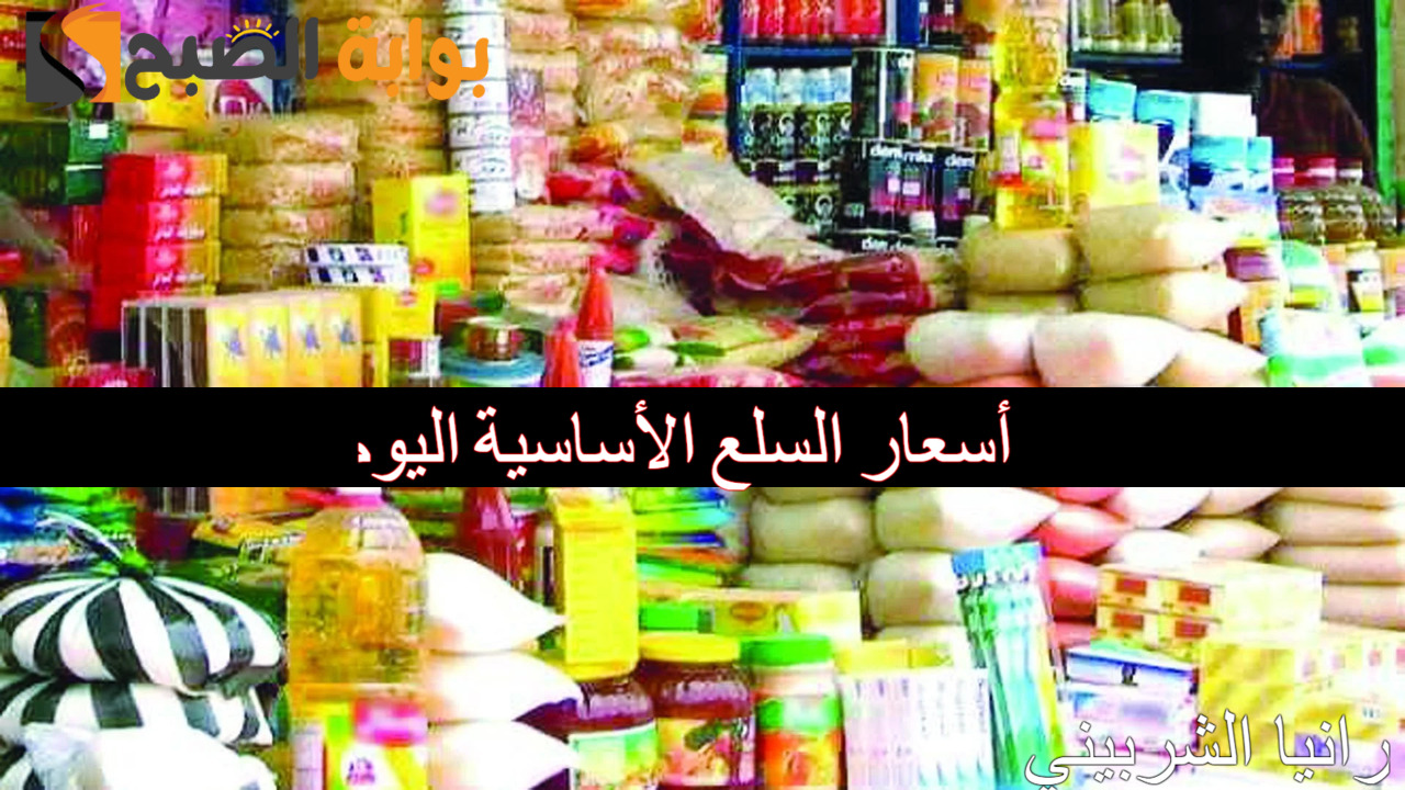 بكام؟.. أسعار السلع الأساسية اليوم الإربعاء 4/9/2024 والفراخ والبيض في تعاملات الأسواق المصرية