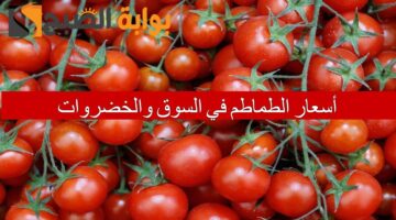 أسعار الطماطم في السوق والخضروات 1 1