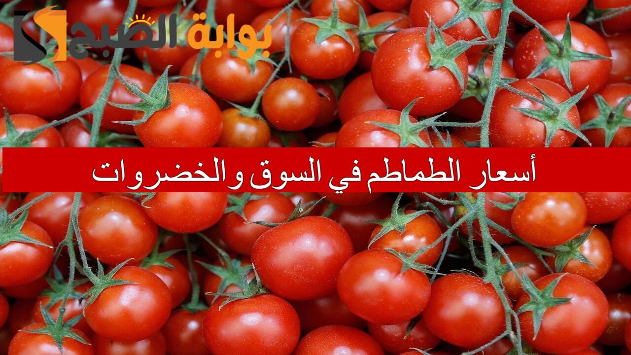 هل انخفضت؟.. أسعار الطماطم في السوق والخضروات اليوم الإثنين 23/6/2024 للمستهلكين