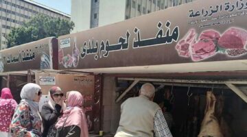 أسعار اللحوم اليوم الجمعة 13 سبتمبر 2024 في الأسواق ومنافذ وزارتي الزراعة والتموين
