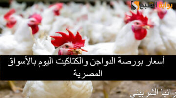 أسعار بورصة الدواجن اليوم 4 1 1