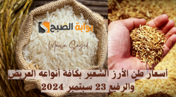 أسعار طن الأرز الشعير بكافة أنواعه العريض والرفيع 23 سبتمبر 2024
