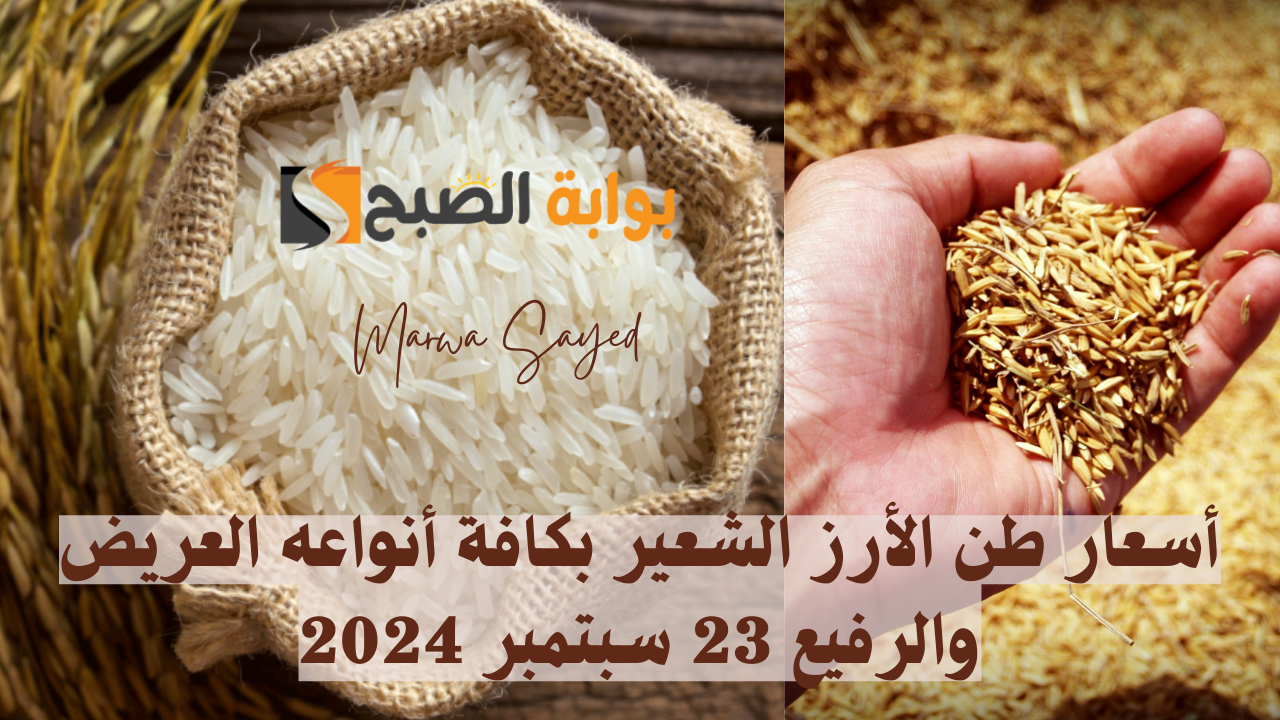 "ارتفاع طفيف في سعر اليوم" .. إليك أهم أسعار طن الأرز الشعير بكافة أنواعه العريض والرفيع 23 سبتمبر 2024| وسعر كيلو الأرز في المحلات 5 “ارتفاع طفيف في سعر اليوم” .. إليك أهم أسعار طن الأرز الشعير بكافة أنواعه العريض والرفيع 23 سبتمبر 2024| وسعر كيلو الأرز في المحلات