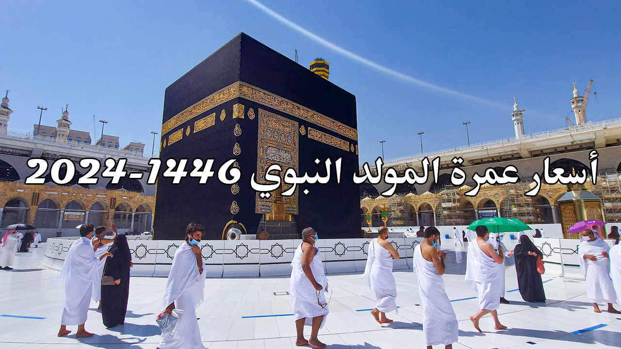 جميع البرامج.. أسعار عمرة المولد النبوي 2024-1446 وخطوات التسجيل عبر منصة نسك hajj.nusuk.sa
