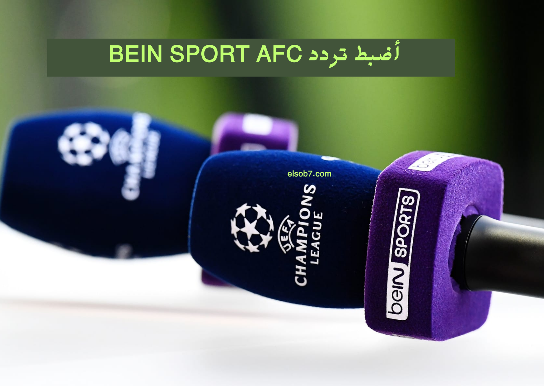 تردد قناة bein sports afc الجديد الناقلة لمباراة الهلال والريان اليوم في دوري ابطال اسيا