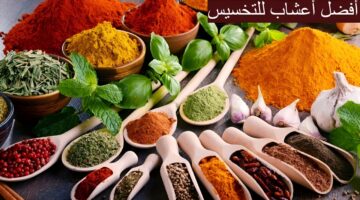 أفضل أعشاب للتخسيس 1